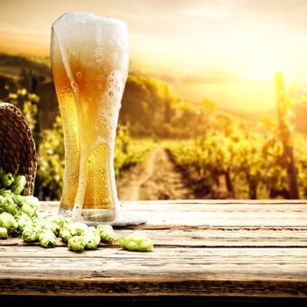 Как солнце влияет на вкус пива: особенности хранения
